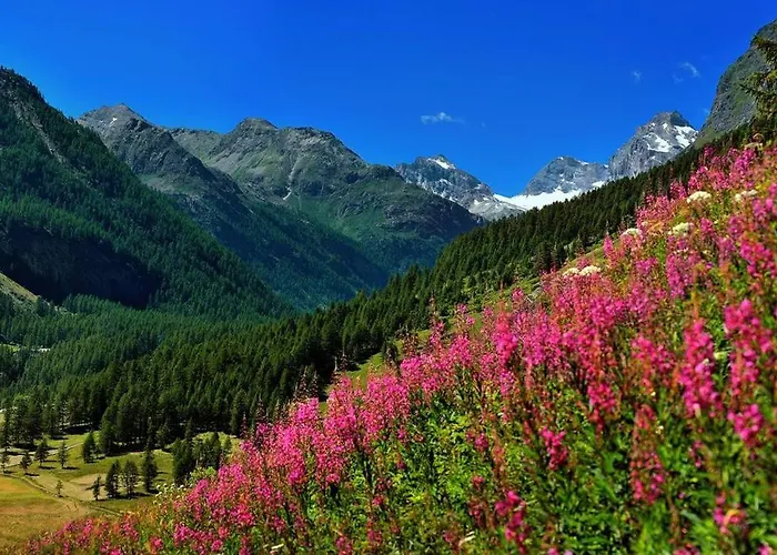 Appartamenti Edelweiss Chaudana photo
